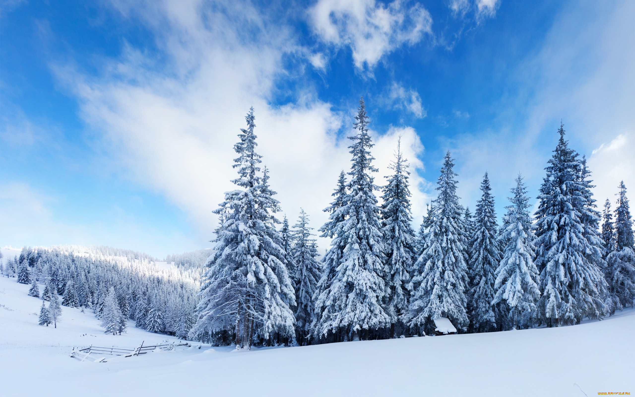 Yet winter. Зимний пейзаж. Зимний лес. Снежный лес. Сказочный зимний лес.